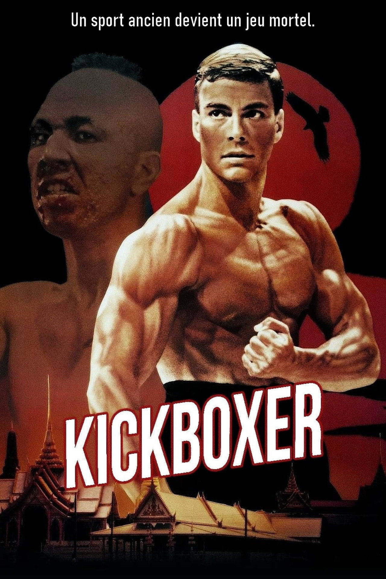 Karate Tiger 3 - Der Kickboxer