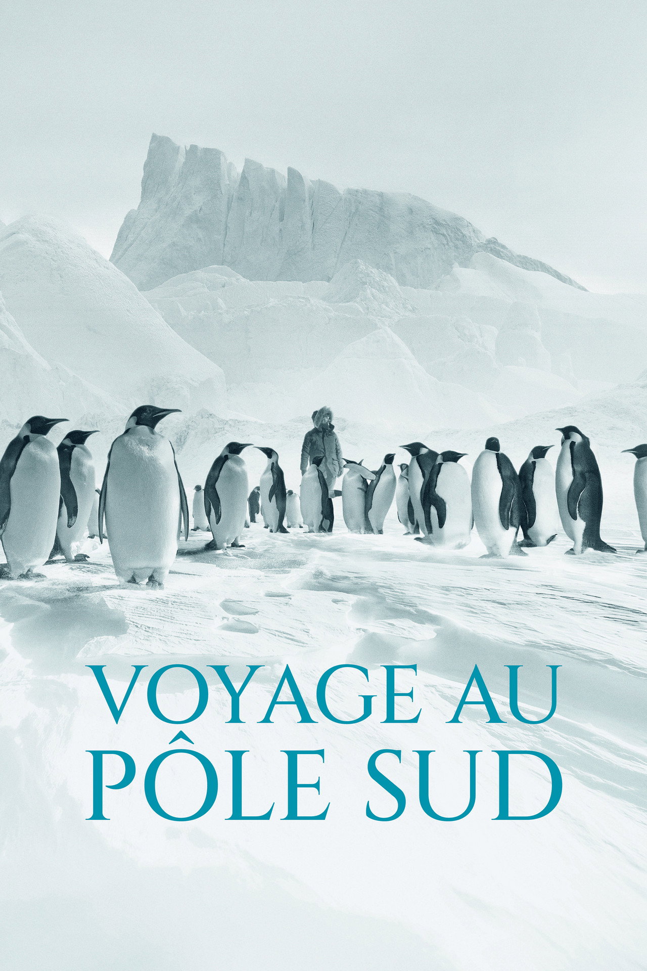 Viaggio al Polo Sud