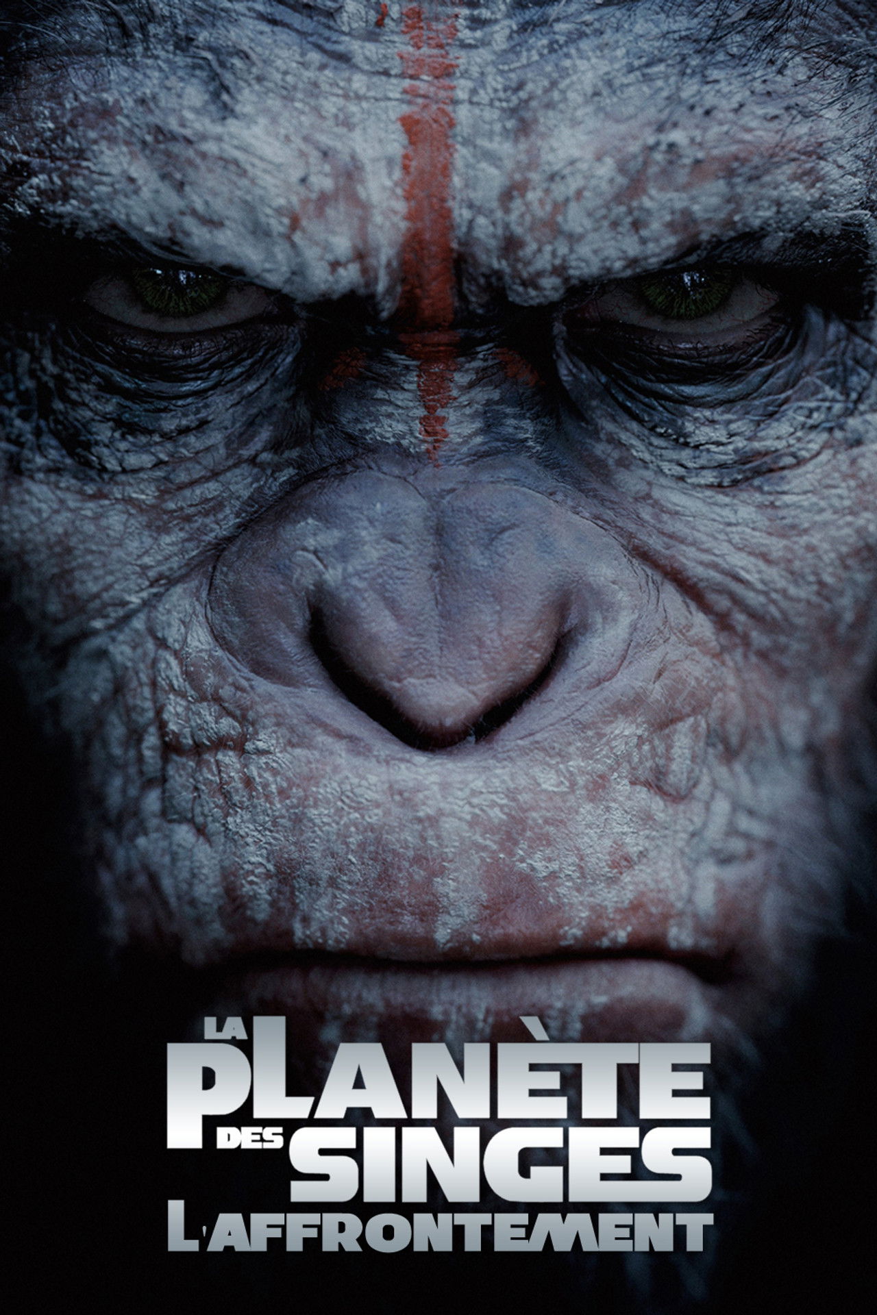 El planeta de los simios: Confrontación