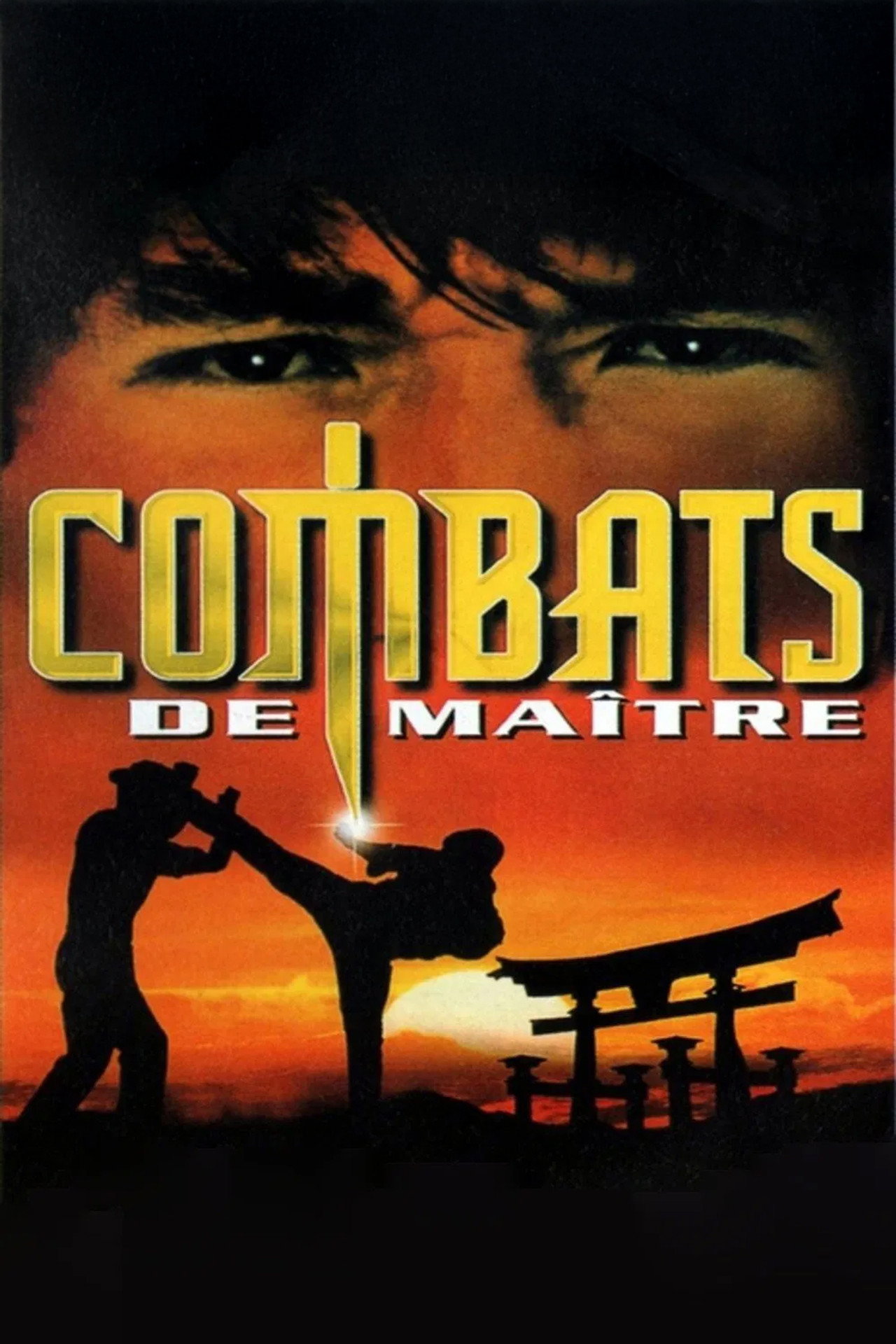Drunken Master II