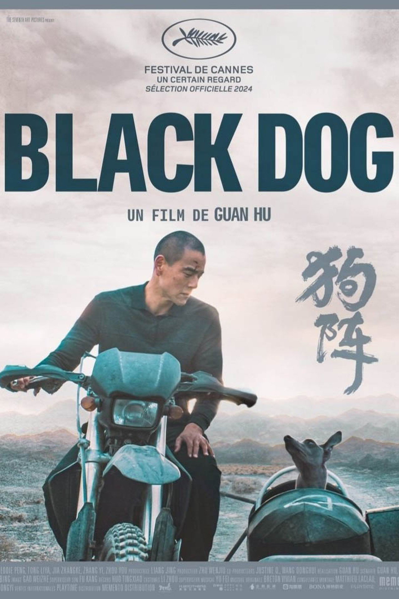 Cão Preto