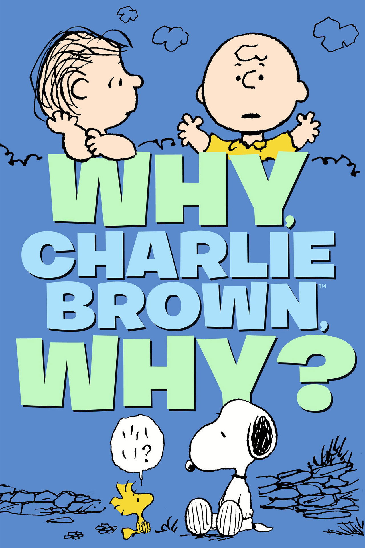 Pourquoi, Charlie Brown, pourquoi ?