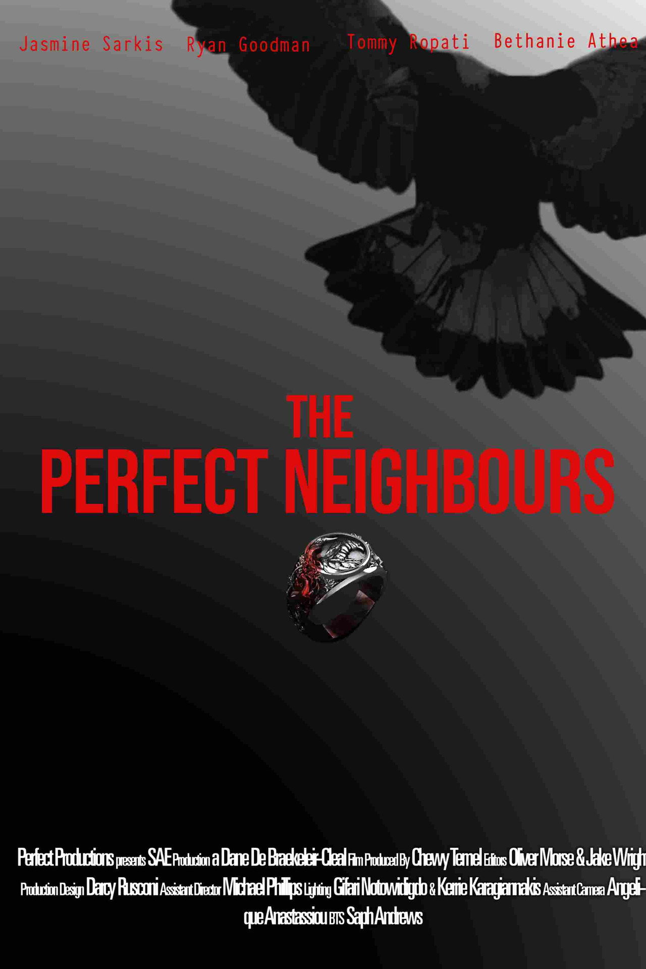 The Perfect Neighbours