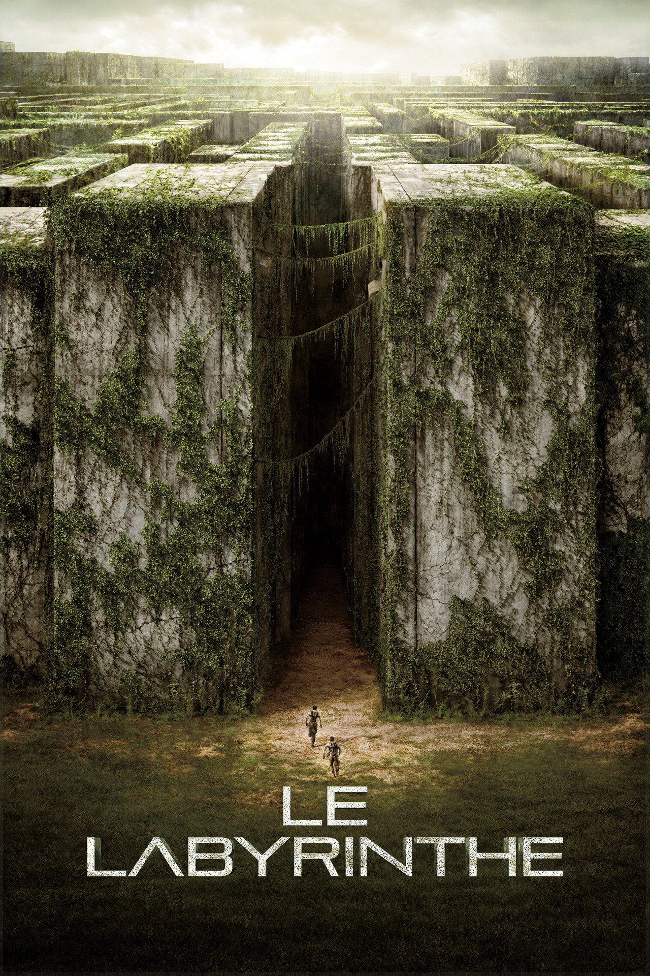 The Maze Runner