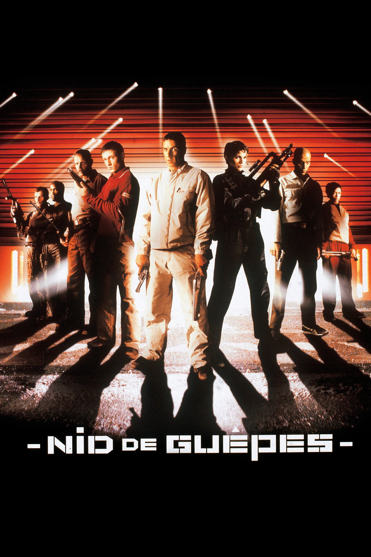 Ninho de Vespas