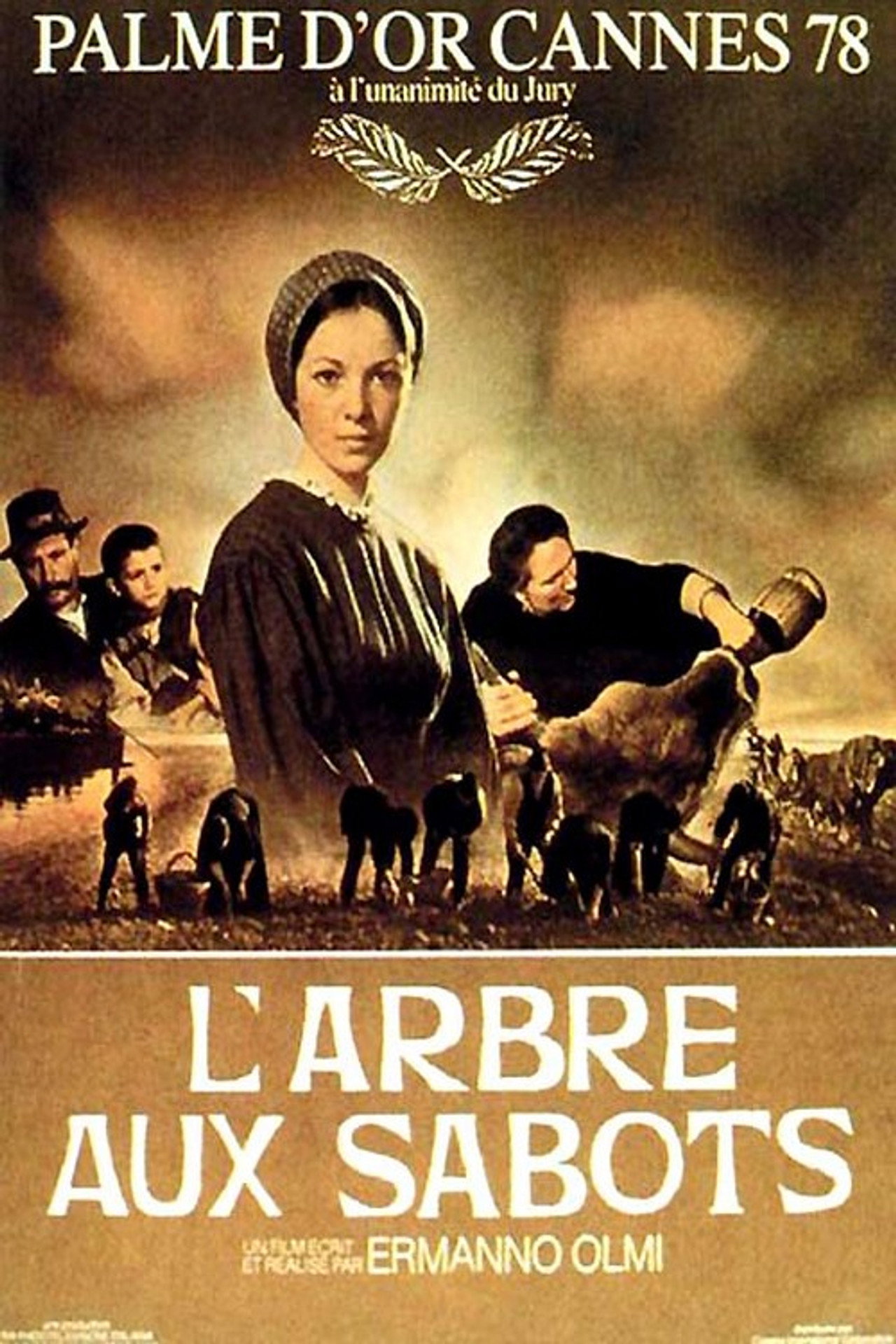 L'albero degli zoccoli