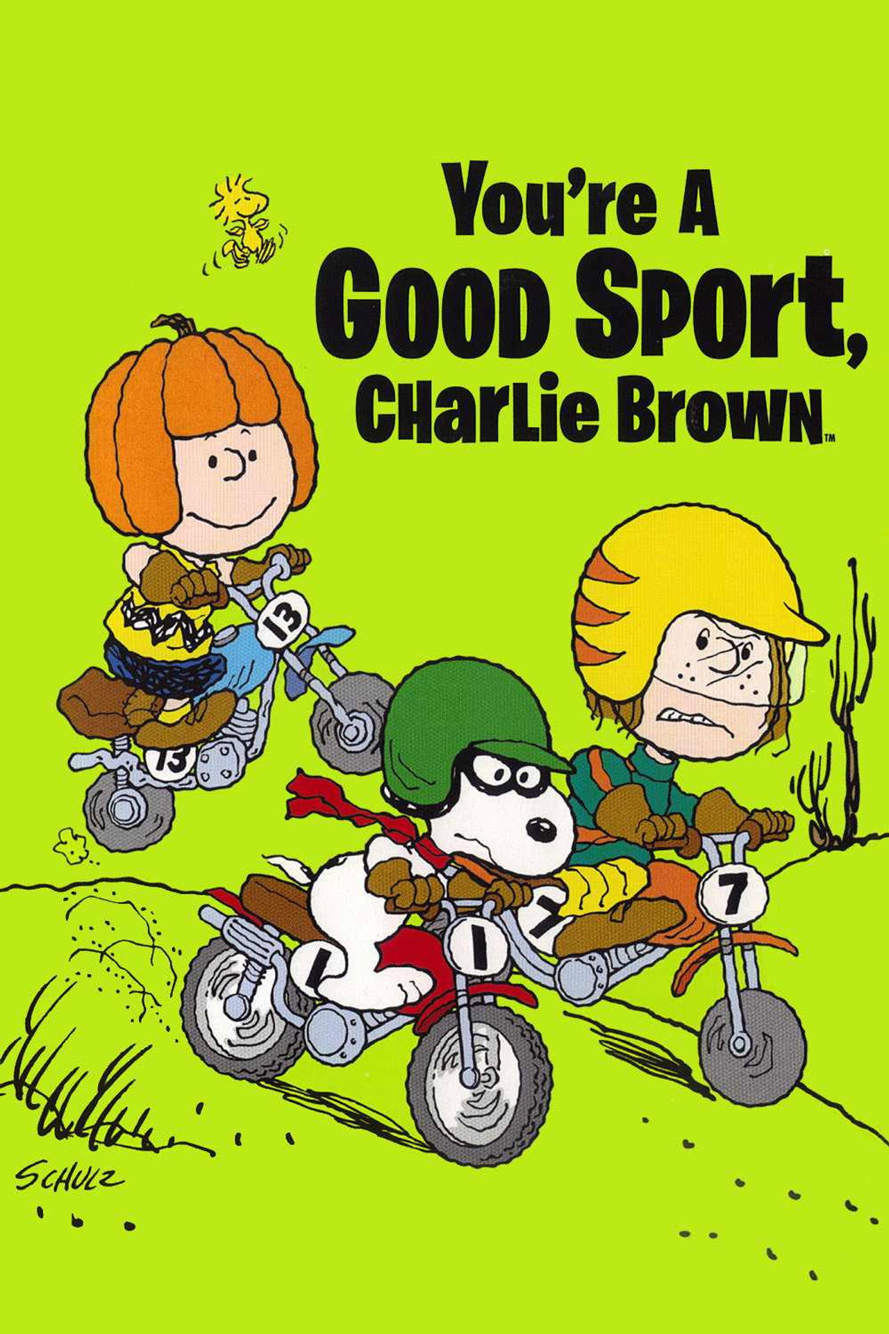 Tu as l’étoffe d’un champion, Charlie Brown