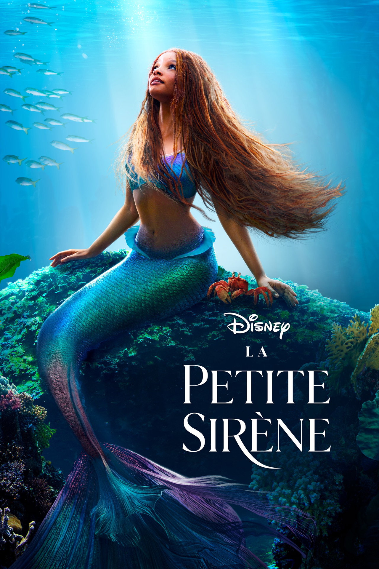 La sirenetta