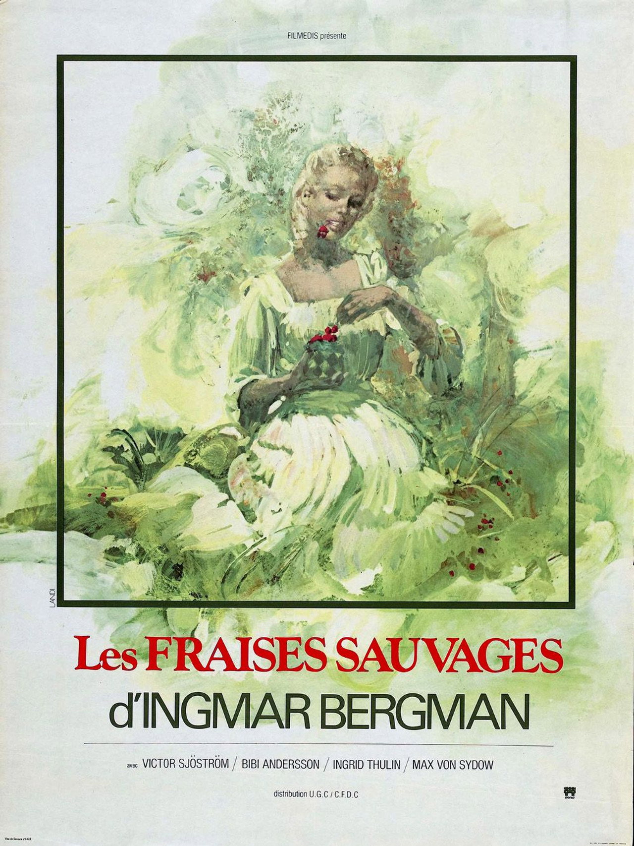 Morangos Silvestres