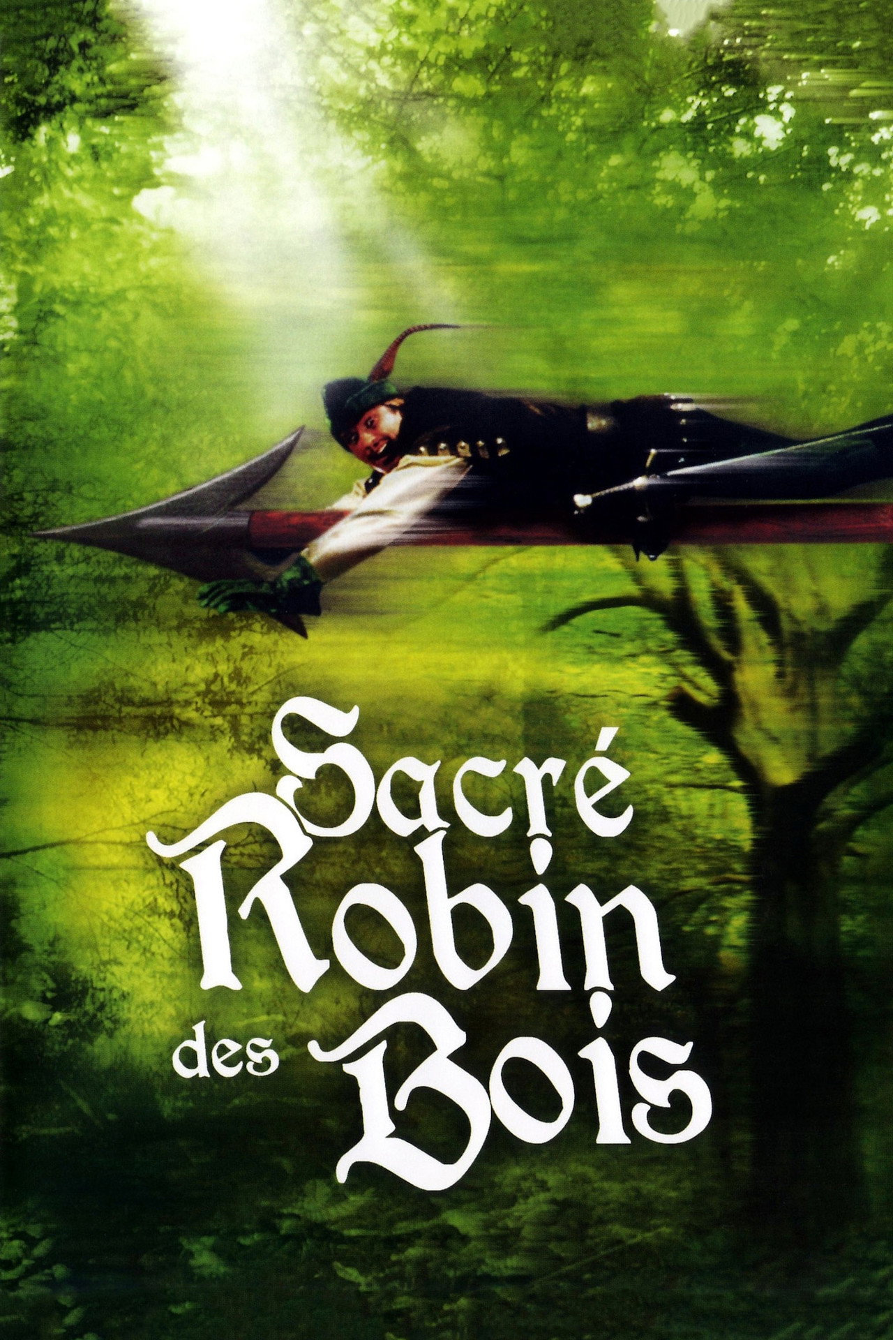 Robin Hood: Men in Tights