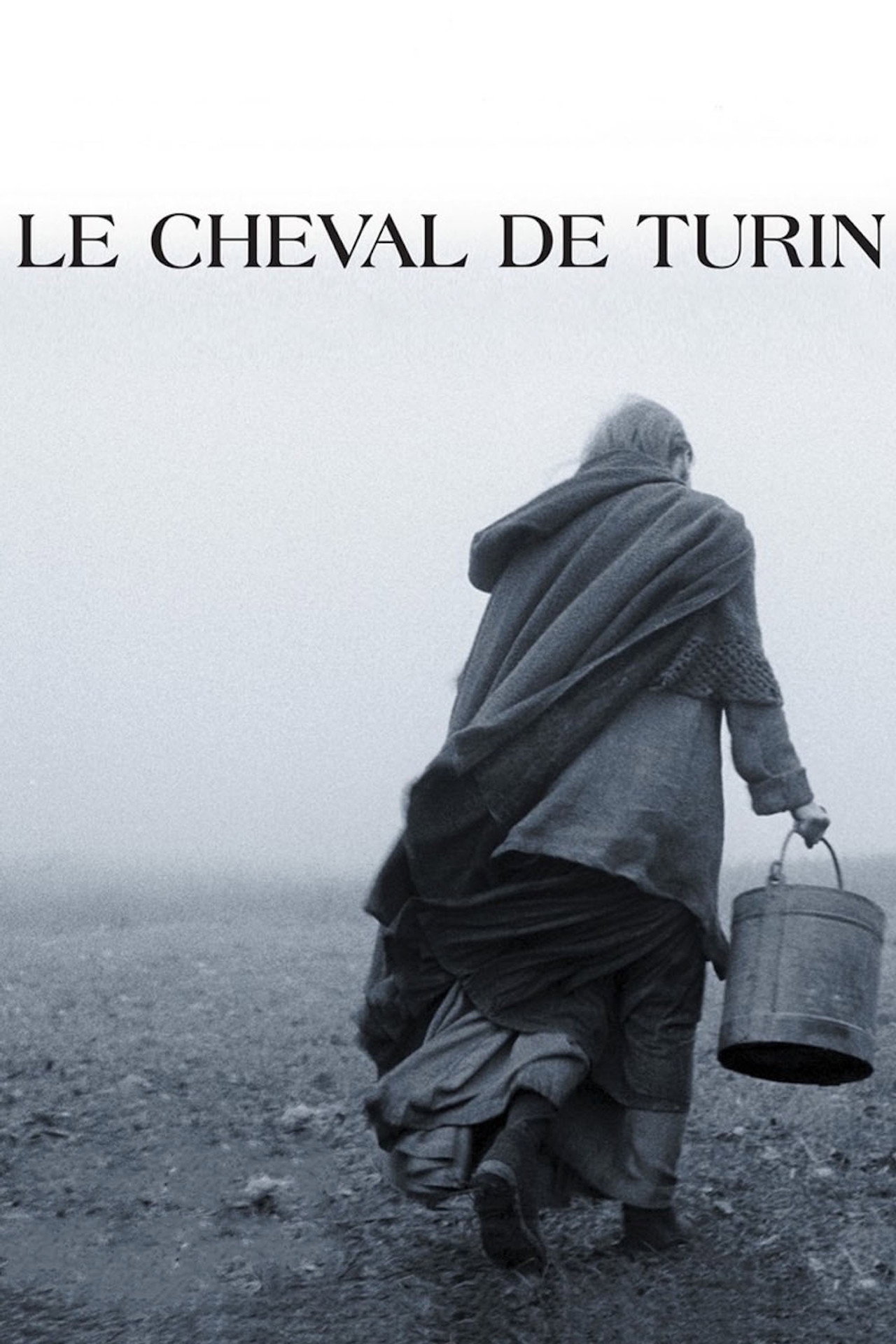 A torinói ló